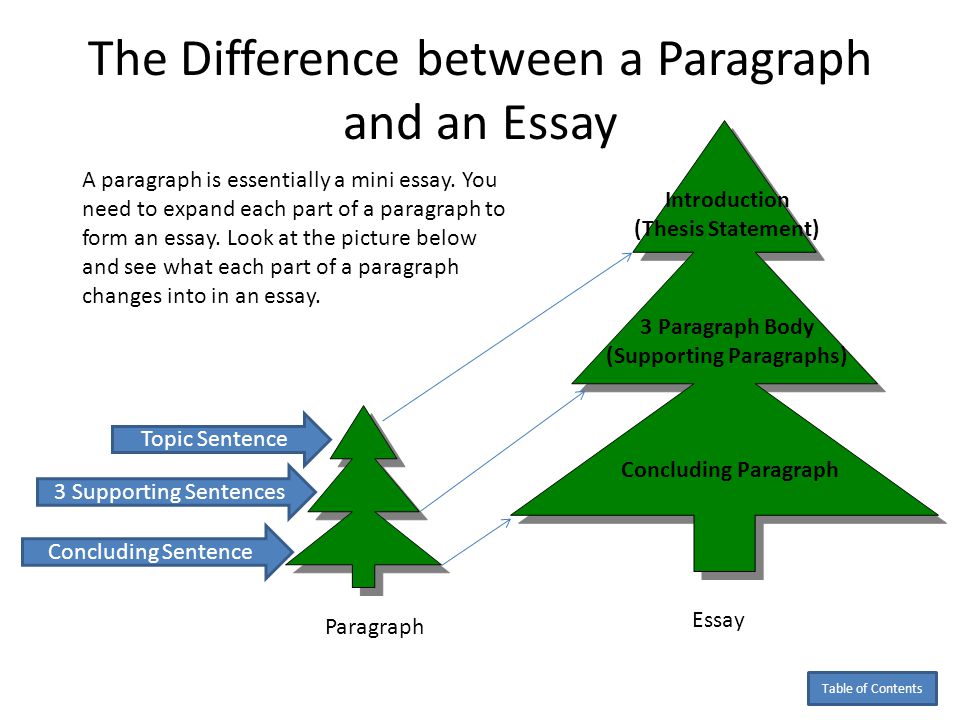 Differences between term papers and research papers